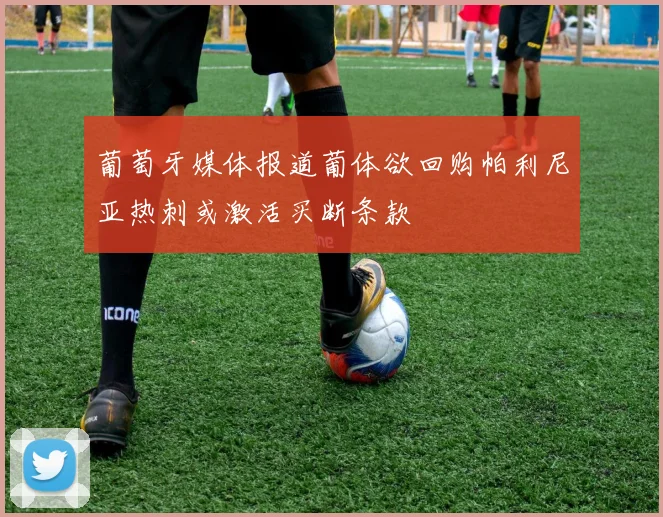 葡萄牙媒体报道葡体欲回购帕利尼亚热刺或激活买断条款